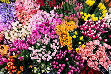 恋爱视觉小说《樱花魅魔7》上线Steam 发售时间待定